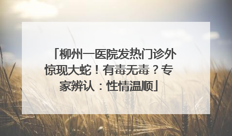 柳州一医院发热门诊外惊现大蛇！有毒无毒？专家辨认：性情温顺
