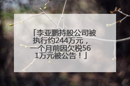李亚鹏持股公司被执行约244万元，一个月前因欠税561万元被公告！