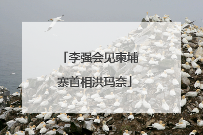 李强会见柬埔寨首相洪玛奈