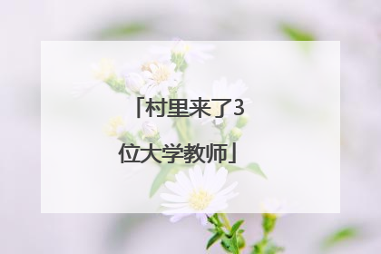 村里来了3位大学教师