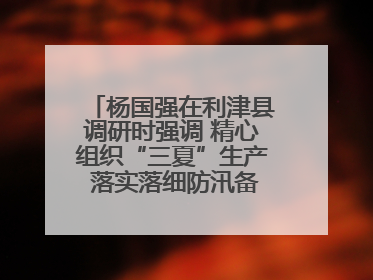 杨国强在利津县调研时强调 精心组织“三夏”生产 落实落细防汛备汛工作