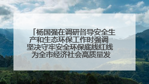 杨国强在调研督导安全生产和生态环保工作时强调 坚决守牢安全环保底线红线 为全市经济社会高质量发展提供坚强保障