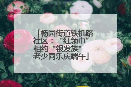 杨园街道铁机路社区：“红领巾”相约“银发族” 老少同乐庆端午