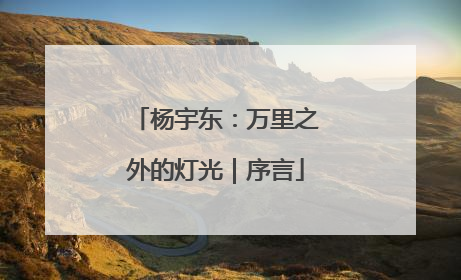 杨宇东：万里之外的灯光｜序言