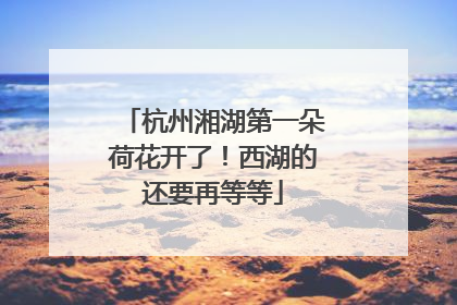 杭州湘湖第一朵荷花开了！西湖的还要再等等