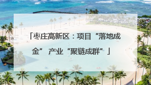 枣庄高新区：项目“落地成金” 产业“聚链成群”