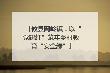 攸县网岭镇：以“党建红”筑牢乡村教育“安全绿”