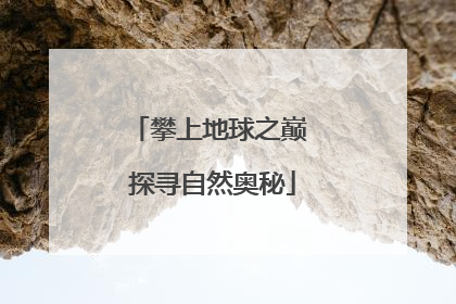 攀上地球之巅 探寻自然奥秘