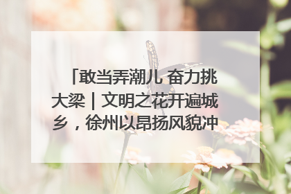 敢当弄潮儿 奋力挑大梁｜文明之花开遍城乡，徐州以昂扬风貌冲刺“万亿之城”