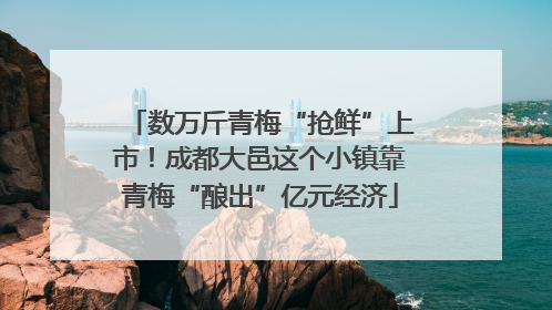 数万斤青梅“抢鲜”上市！成都大邑这个小镇靠青梅“酿出”亿元经济