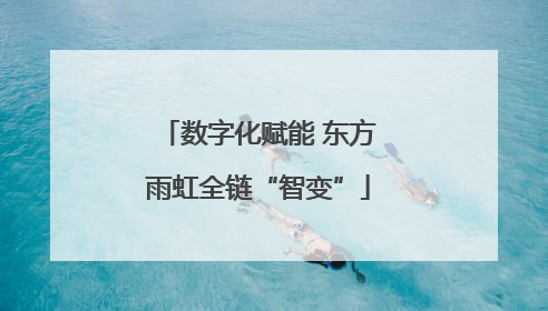 数字化赋能 东方雨虹全链“智变”