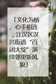 文化为桥、心手相连，江汉区汉兴街道“百团大绽”演绎邻里新风貌