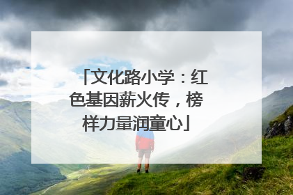 文化路小学：红色基因薪火传，榜样力量润童心