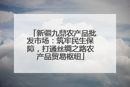 新疆九鼎农产品批发市场：筑牢民生保障，打通丝绸之路农产品贸易枢纽