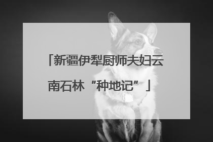 新疆伊犁厨师夫妇云南石林“种地记”