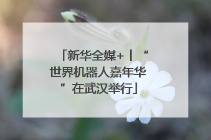 新华全媒+丨“世界机器人嘉年华”在武汉举行