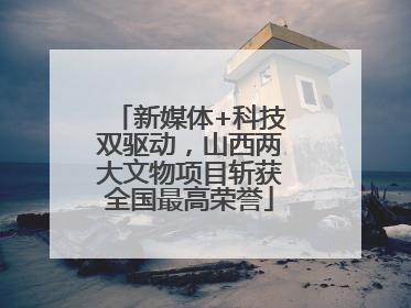 新媒体+科技双驱动，山西两大文物项目斩获全国最高荣誉