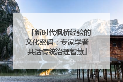 新时代枫桥经验的文化密码：专家学者共话传统治理智慧
