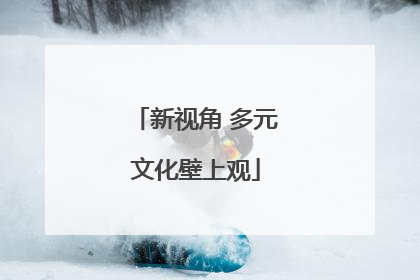 新视角 多元文化壁上观