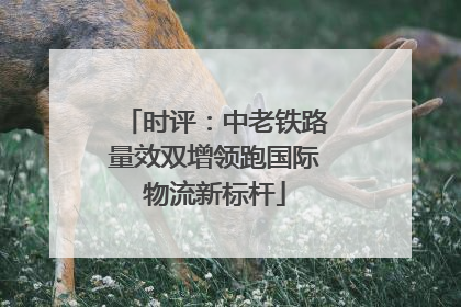 时评：中老铁路量效双增领跑国际物流新标杆