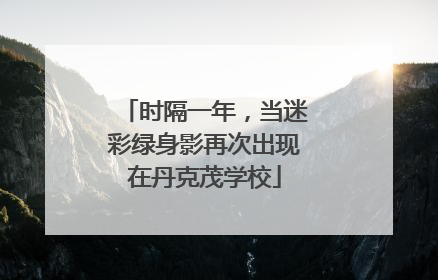时隔一年，当迷彩绿身影再次出现在丹克茂学校