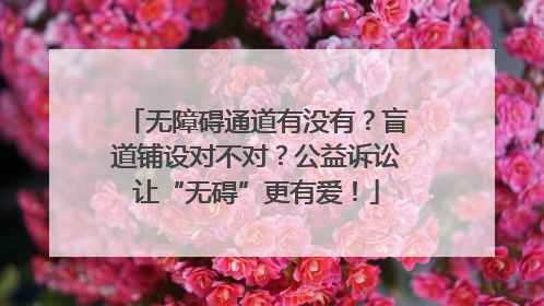 无障碍通道有没有？盲道铺设对不对？公益诉讼让“无碍”更有爱！