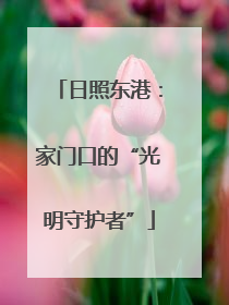 日照东港：家门口的“光明守护者”