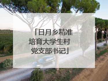 日月乡精准培育大学生村党支部书记