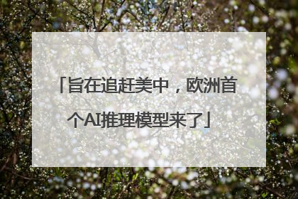 旨在追赶美中，欧洲首个AI推理模型来了