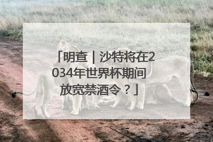 明查｜沙特将在2034年世界杯期间放宽禁酒令？