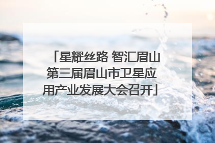 星耀丝路 智汇眉山 第三届眉山市卫星应用产业发展大会召开