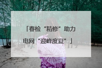 春检“精修”助力电网“迎峰度夏”