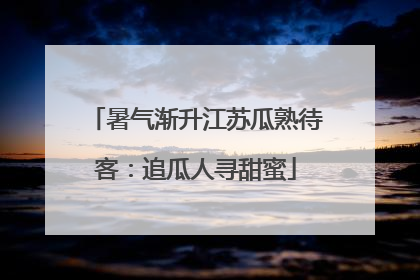 暑气渐升江苏瓜熟待客：追瓜人寻甜蜜