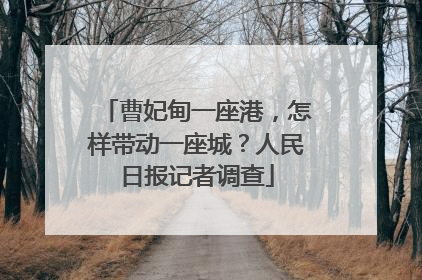 曹妃甸一座港，怎样带动一座城？人民日报记者调查
