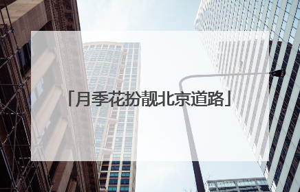 月季花扮靓北京道路