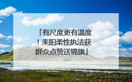 有尺度更有温度！耒阳柔性执法获群众点赞送锦旗