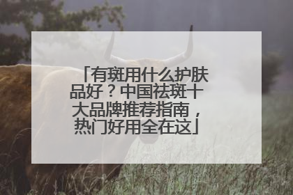 有斑用什么护肤品好？中国祛斑十大品牌推荐指南，热门好用全在这