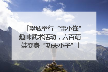 望城举行“雷小锋”趣味武术活动，六百萌娃变身“功夫小子”