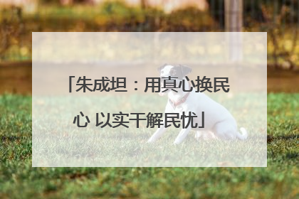 朱成坦：用真心换民心 以实干解民忧