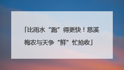 比雨水“跑”得更快！慈溪梅农与天争“鲜”忙抢收