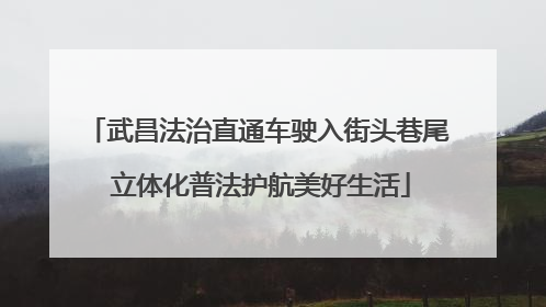 武昌法治直通车驶入街头巷尾 立体化普法护航美好生活