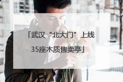 武汉“北大门”上线35座木质售卖亭