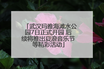 武汉玛雅海滩水公园7日正式开园 后续将推出夏浪音乐节等精彩活动