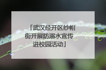 武汉经开区纱帽街开展防溺水宣传进校园活动