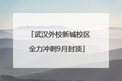 武汉外校新城校区全力冲刺9月封顶