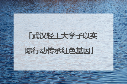 武汉轻工大学子以实际行动传承红色基因