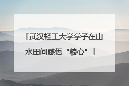 武汉轻工大学学子在山水田间感悟“粮心”