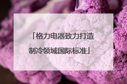 格力电器致力打造制冷领域国际标准