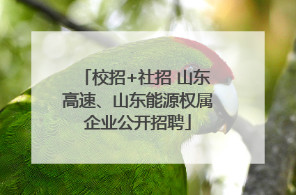 校招+社招 山东高速、山东能源权属企业公开招聘