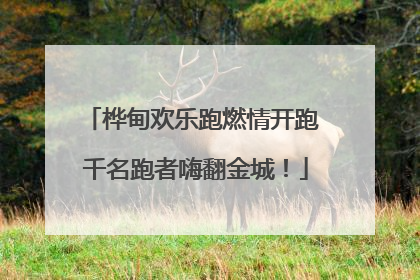 桦甸欢乐跑燃情开跑 千名跑者嗨翻金城！